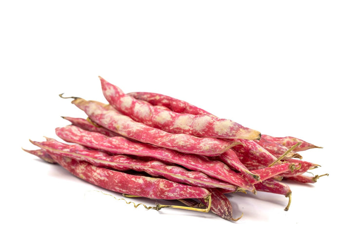 Fresh Borlotti Beans