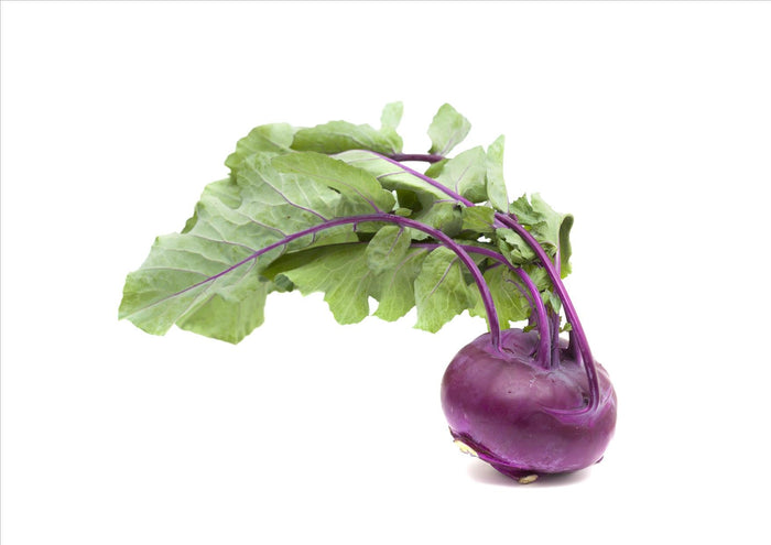 Kohlrabi, Purple (EACH)