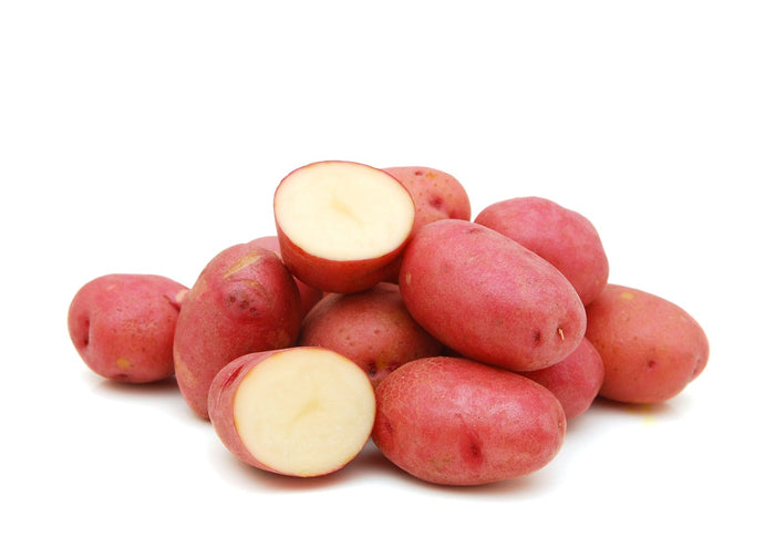 Potato Red Desiree