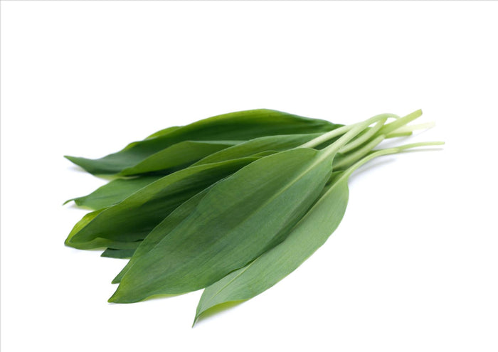 Wild Garlic (Ramsons) (100g)