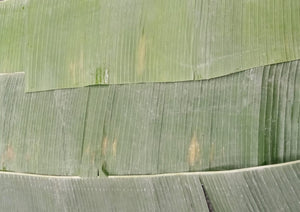 Banana Leaves (Pkt)