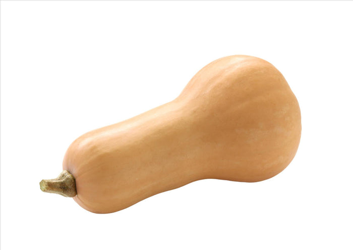 Butternut Squash (Each)