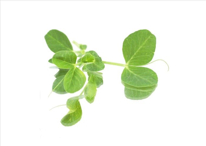 Cut Peashoots (Pkt 100G)