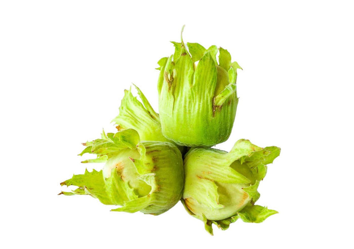 Fresh Cobnuts (Green) (500g)