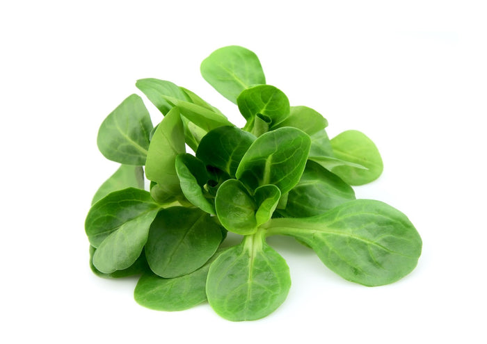 Lambs Lettuce (Mache) (80g)