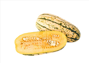 Delicata Squash (Each)