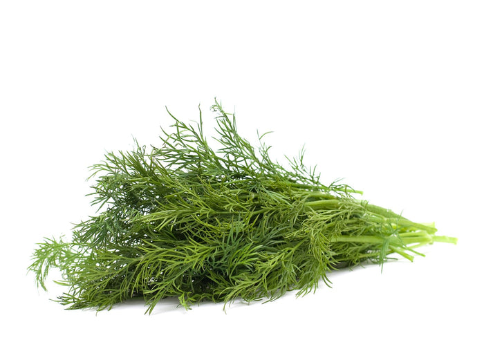 Dill (100g)