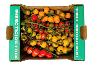 Dinkies - English Mixed Tomatoes (Box 3.6Kg)