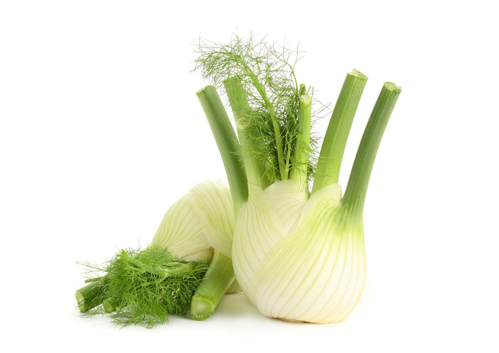 Fennel