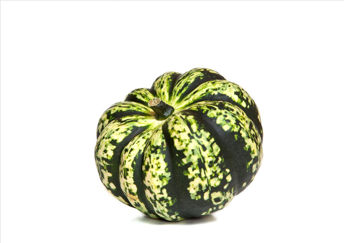 Harlequin Squash (Each)