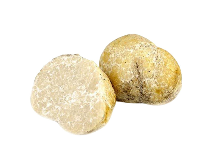 Honey Truffles (Fresh) - Mattirolomyces terfezioides