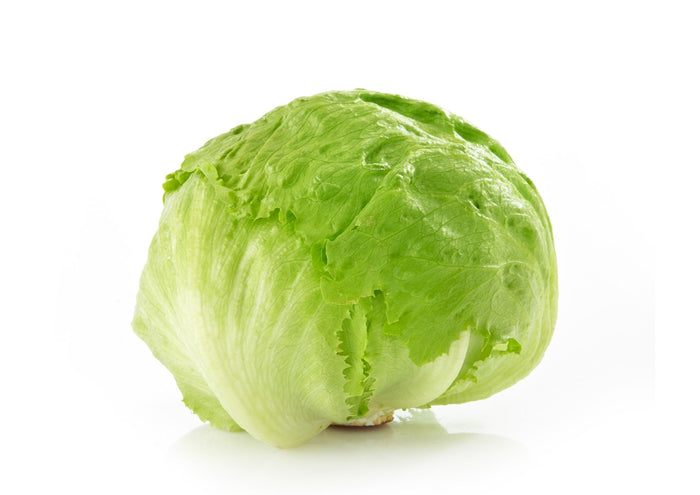 Lettuce Iceberg