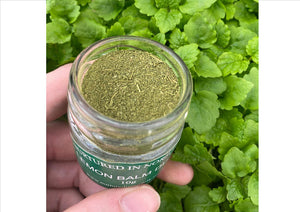 Nurtured in Norfolk - Lemon Balm Herb Powder (Dust) (10g) (Cut-off 12pm)