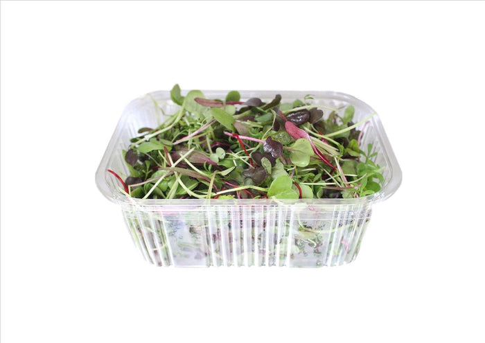 Micro Mixed Salad (Pnt 30G)