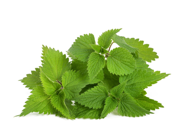 Nettles (Kg)