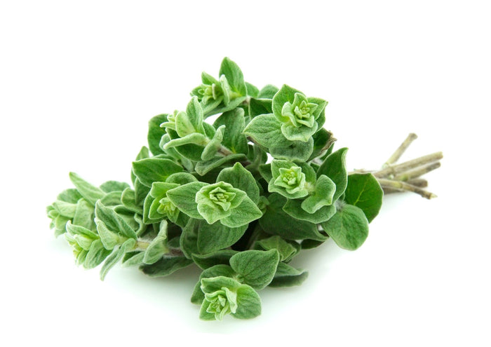 Oregano (100g)