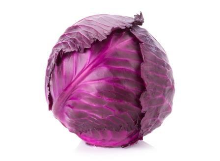 Cabbage Red