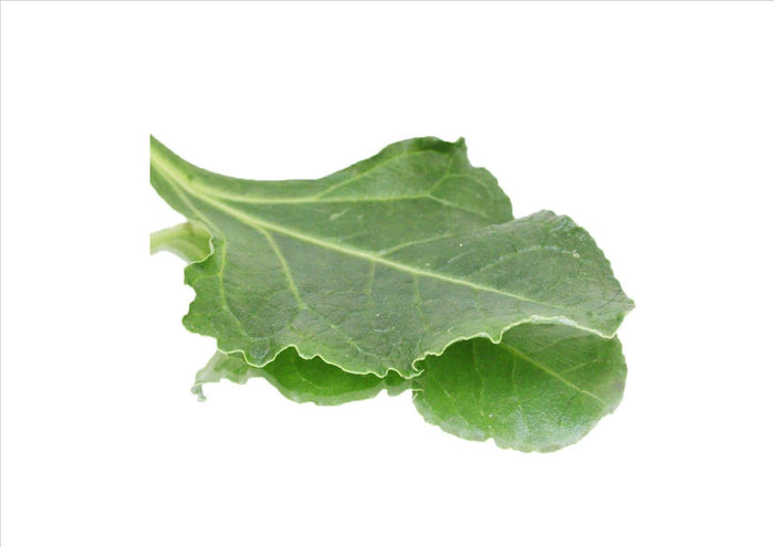 Sea Beet (Pnt 50G)