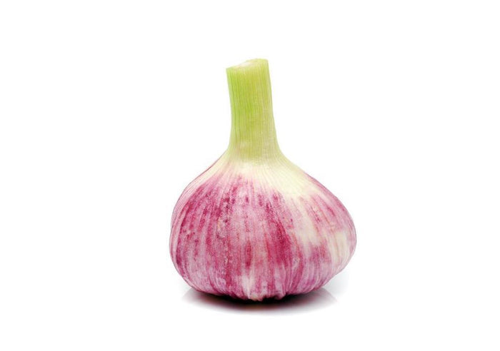 Wet (Fresh) Garlic (1 Bulb)