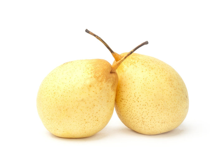 Chinese Ya Pear (Each)