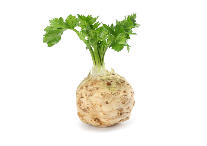 Celeriac with Tops (Each)